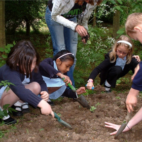 A picture of three young school girls wearing uniform and crouched down over a patch of soil, digging with trowels. 