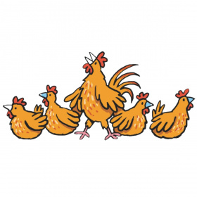 A cartoon drawing of 5 chickens in a row, the middle chicken is standing up and crowing, the other 4 are sat down as if nesting.