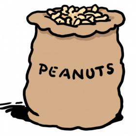 A cartoon sack full of peanuts and with the word 'peanuts' written on it.