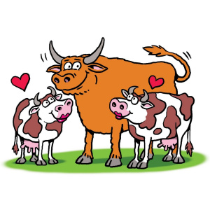A cartoon drawing of a large brown bull with horns, with two smaller, white cows with brown spots on either side of him. The cows have pink lipstick on their lips and are looking up at the bull. There is a heart drawn above each cow.