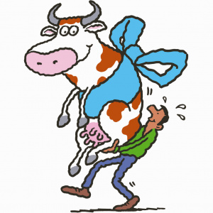 A cartoon drawing of a man carrying a large white cow with brown spots and grey horns. The cow is smiling and has a blue bow tied around its stomach, like a present.