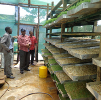 Three men are standing looking at a tall wooden shelving unit filled with large trays of seeds, some of which have sprouted into green shoots.