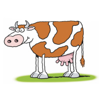 A cartoon drawing of a white cow with brown spots.